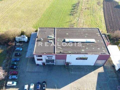 Ingersheim Halle, Ingersheim Hallenfläche