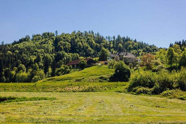 Schlossblick vom Garten