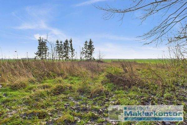 Grundstück hinter der Stallung