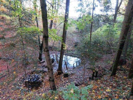 2 Fischteiche mit Wasserzulauf 