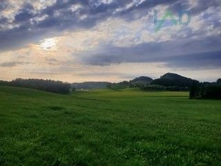 Schmalfeld Bauernhöfe, Landwirtschaft, Schmalfeld Forstwirtschaft