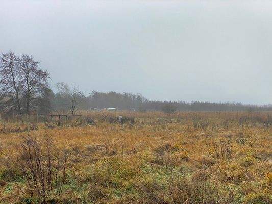 Aktueller Blick über das Grundstück