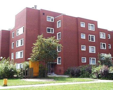 Uelzen Wohnungen, Uelzen Wohnung mieten