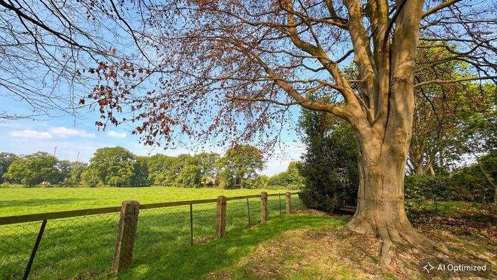 [KI-optimiertes Foto] Unverbaute Feldrandlage