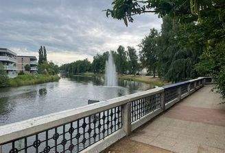 Werreufer in der Nähe