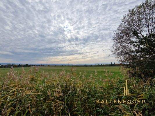 Aussicht vom Ende des Grundstücks auf die Felder