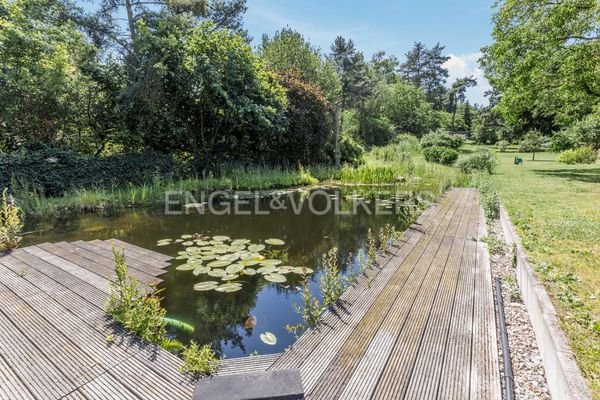 Idyllischer Schwimmteich 