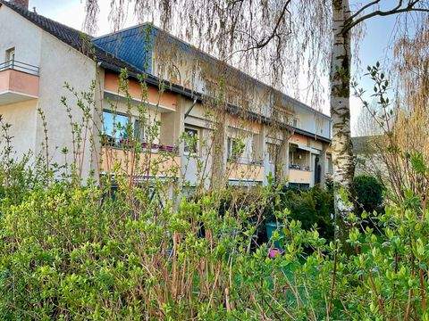 Alfter Wohnungen, Alfter Wohnung mieten