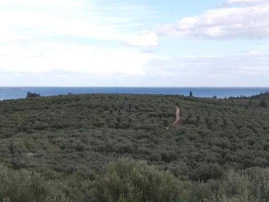 Kreta, Kalyves: Land mit großartigem Meerblick in Apokoronas zum Verkauf