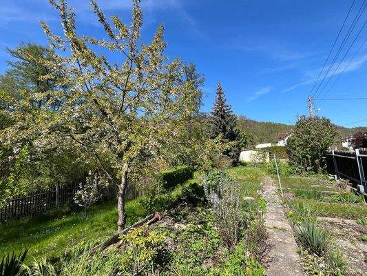 Garten gegenüber des Hauses