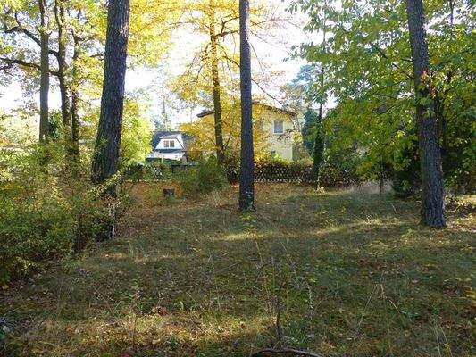 Blick Richtung Straße 