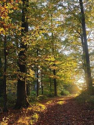 Fußläufig zum Naturpark
