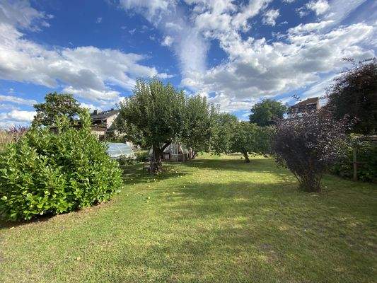 Grünfläche mit Obstbäumen