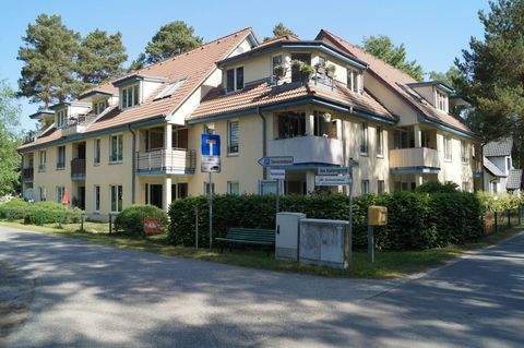 Wendisch Rietz Wohnungen, Wendisch Rietz Wohnung mieten