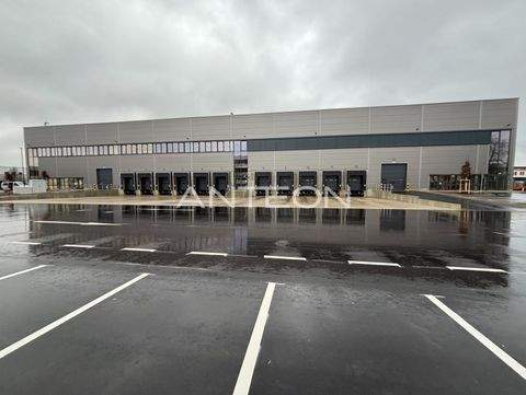 Ratingen Halle, Ratingen Hallenfläche