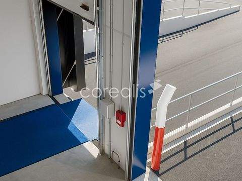 Düsseldorf Halle, Düsseldorf Hallenfläche