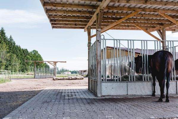 Aktivstall Futterraufen