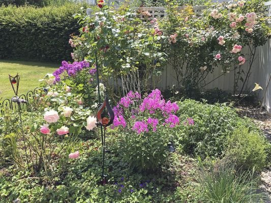 Bauerngarten