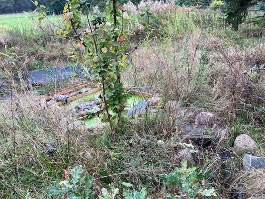 geplanter Gartenteich