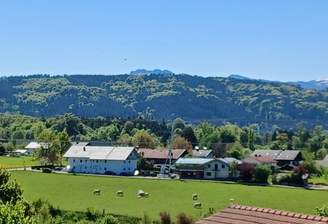 Fernblick
