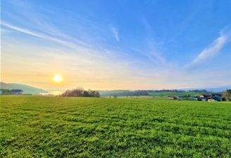 Blick auf Natur &amp; Umgebung am Weg zum See