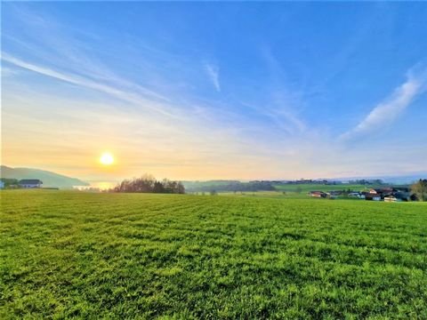 Seekirchen am Wallersee Wohnungen, Seekirchen am Wallersee Wohnung mieten