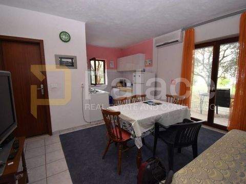 Okrug Wohnungen, Okrug Wohnung mieten