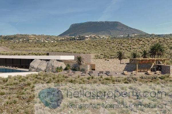 Project New Cave Style luxury Villa (10)