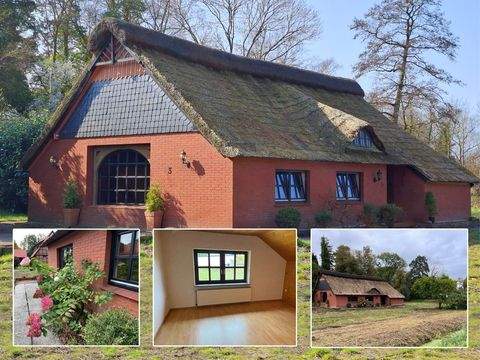 Stadland Häuser, Stadland Haus kaufen