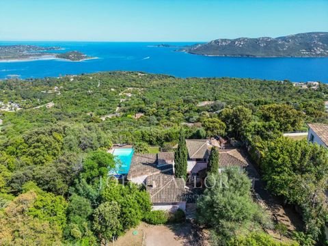Porto-Vecchio Häuser, Porto-Vecchio Haus kaufen