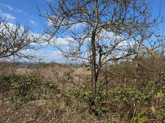 Grundstück von der Straße