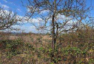 Grundstück von der Straße