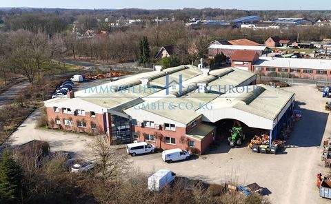 Lingen (Ems) Halle, Lingen (Ems) Hallenfläche