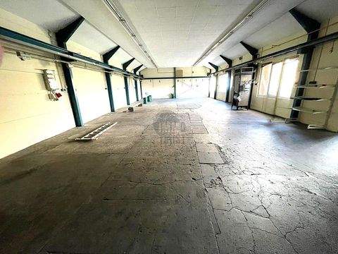 Hauneck / Unterhaun Halle, Hauneck / Unterhaun Hallenfläche