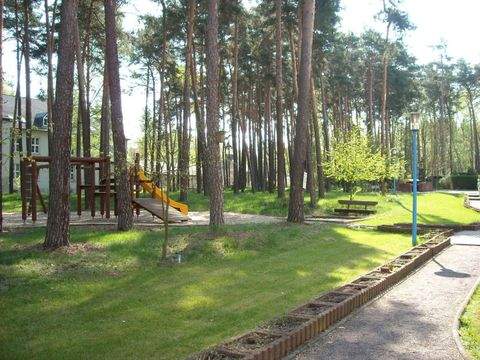 Dessau-Roßlau Wohnungen, Dessau-Roßlau Wohnung mieten