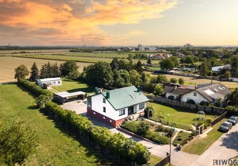 Ringelsdorf-Niederabsdorf Häuser, Ringelsdorf-Niederabsdorf Haus kaufen