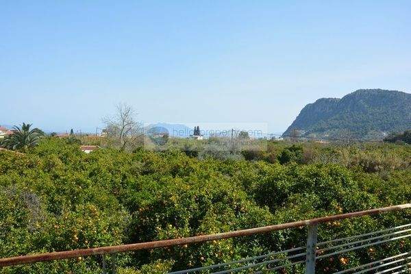 img_b550fffd-9b86-418a-abba-cdce35a89146