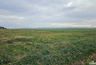 WhatsApp Image 2025-11-16 at 13.45.53 (2)