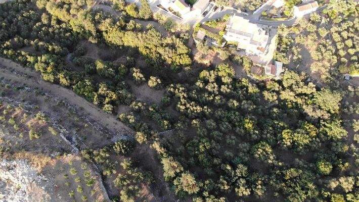 Kreta, Ag. Pavlos: Malerisches Grundstück in der Nähe von Gavalochori zum Verkauf