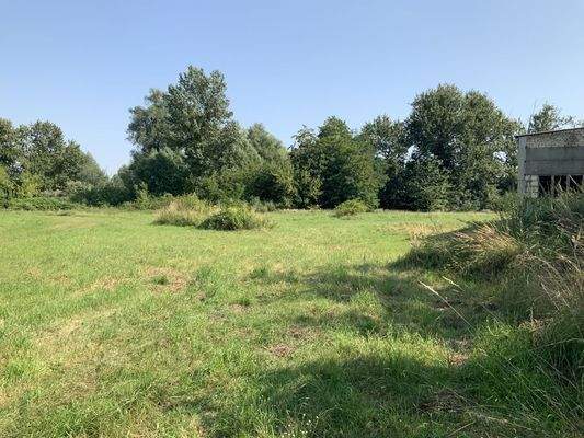 Blick auf das Grundstück