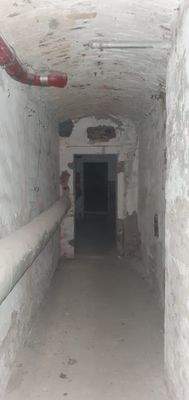 PHOTO-2025-03-10-07-42-10-B3B796A1-DA84-4076-8C03-