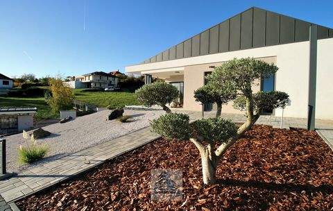 Cserszegtomaj Renditeobjekte, Mehrfamilienhäuser, Geschäftshäuser, Kapitalanlage