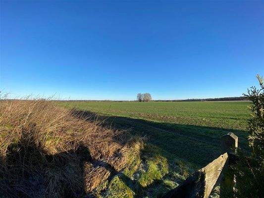 Blick hinter das Grundstück