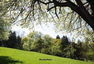 Keine Originalbilder