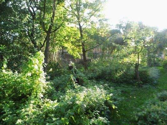 Auf dem Grundstück hinter  der Scheune