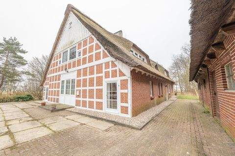 Hemmoor Häuser, Hemmoor Haus kaufen