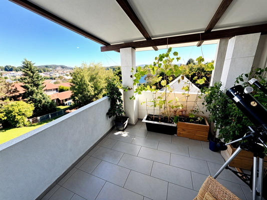 Whg. 1, Dachterrasse, 2.OG.png
