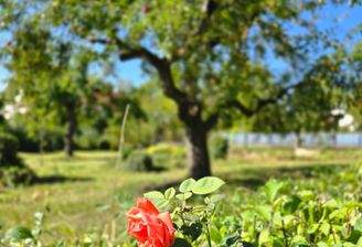 Beste Wohnlage im Grünen