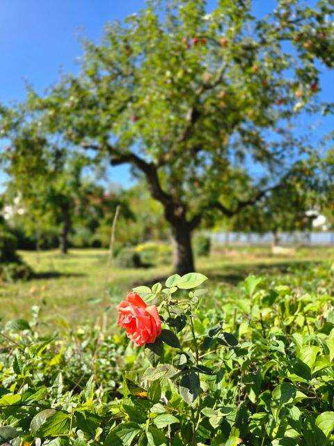 Emskirchen Grundstücke, Emskirchen Grundstück kaufen