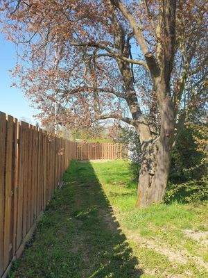 Teilansicht Garten u. Haus  (9)